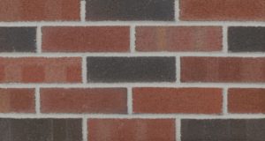 100-M Image