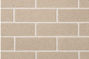 8531 Image
