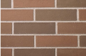 8601 Image
