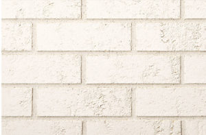 Alaska White Dart Image