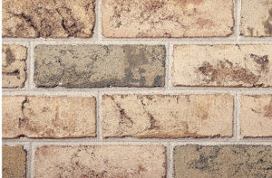 Beechwood Blend Image