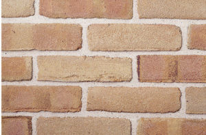 Belcrest 150 Image