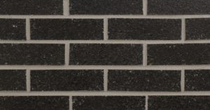 Black Pearl (RA11-9003) Image