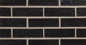 Black Pearl (SRA11-9003) Image