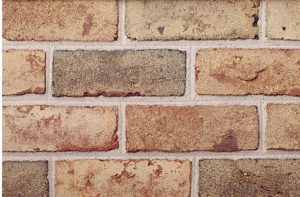 Bridgeport Blend Image