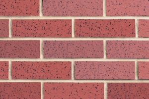 Burgundy Ironspot Image