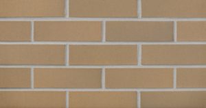 Burnt Almond Flashed (FS21-22) Image