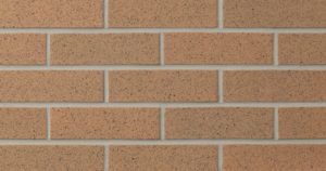 Burnt Almond Ironspot (SIS21-22) Image