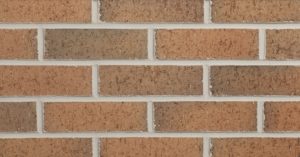 Flashed Salmon Velour Thin Brick Image